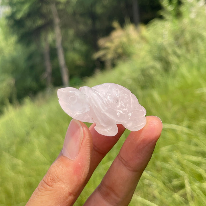 Natural Crystal Carving Turtle