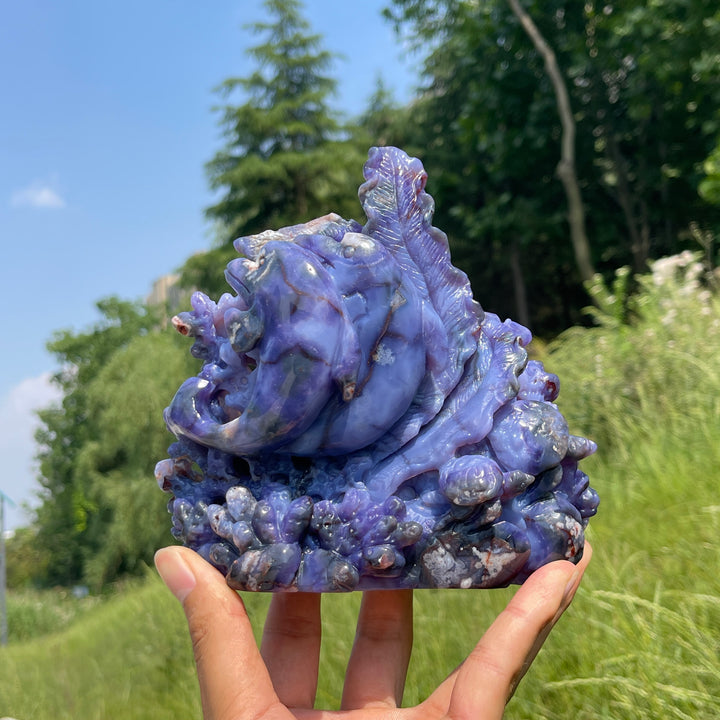 Unique,Natural Whimsical Blue Flower Agate Underwater World Carving