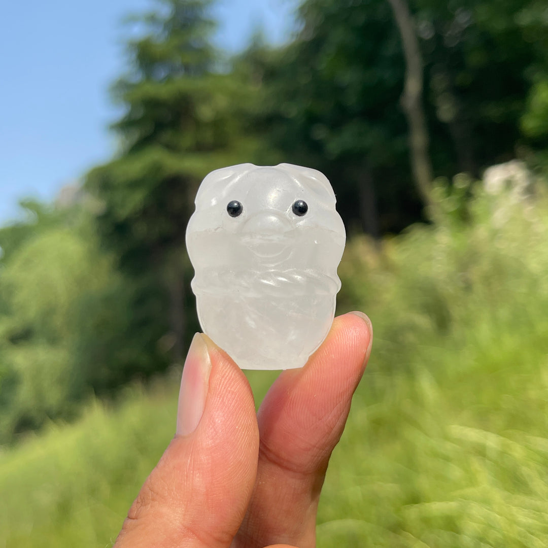 Natural Crystal Basket Pig Carving