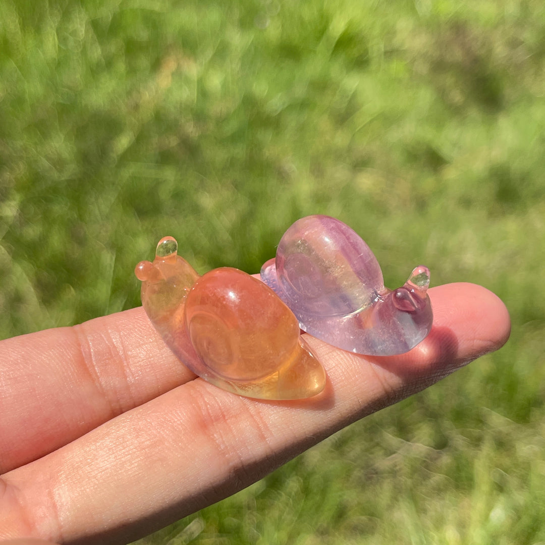 Natural Crystal Lovely Fluorite Snail Carving