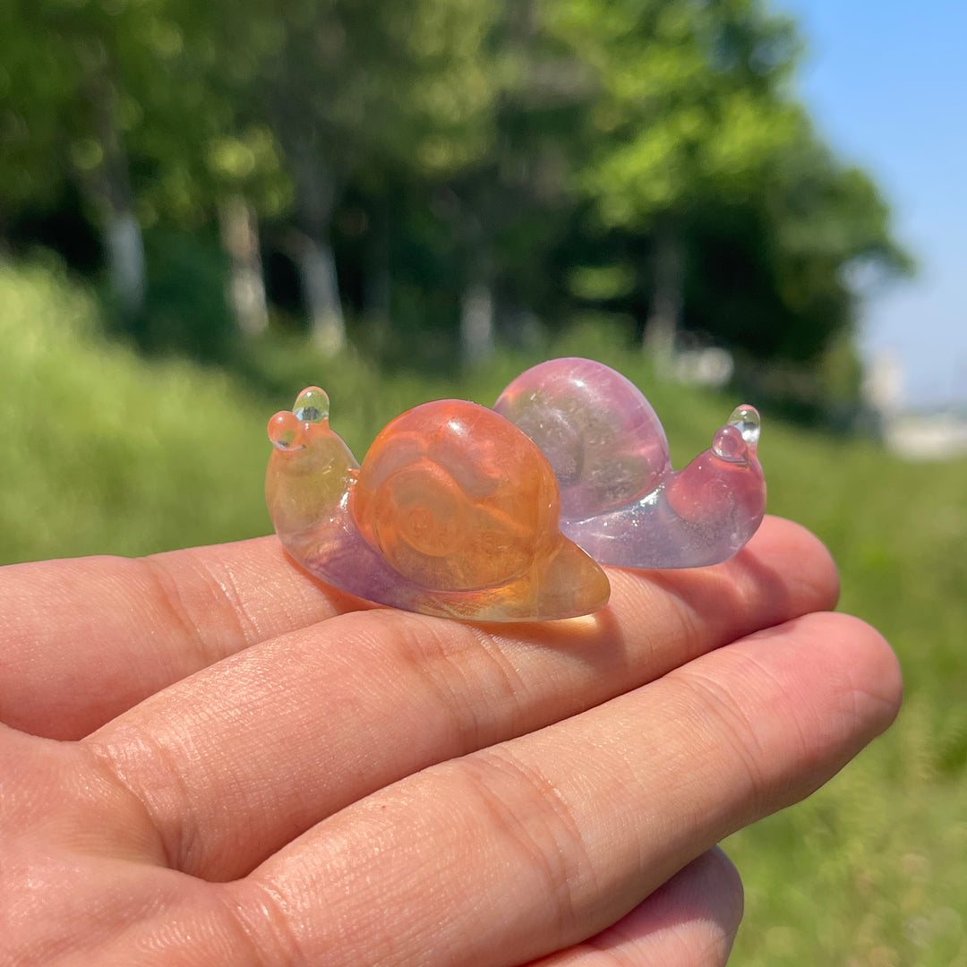 Natural Crystal Lovely Fluorite Snail Carving