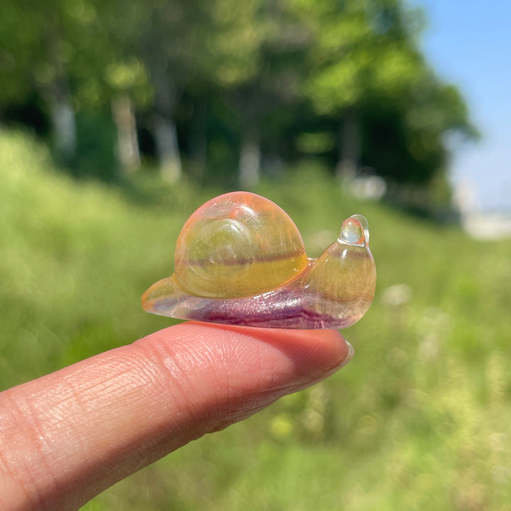 Natural Crystal Lovely Fluorite Snail Carving
