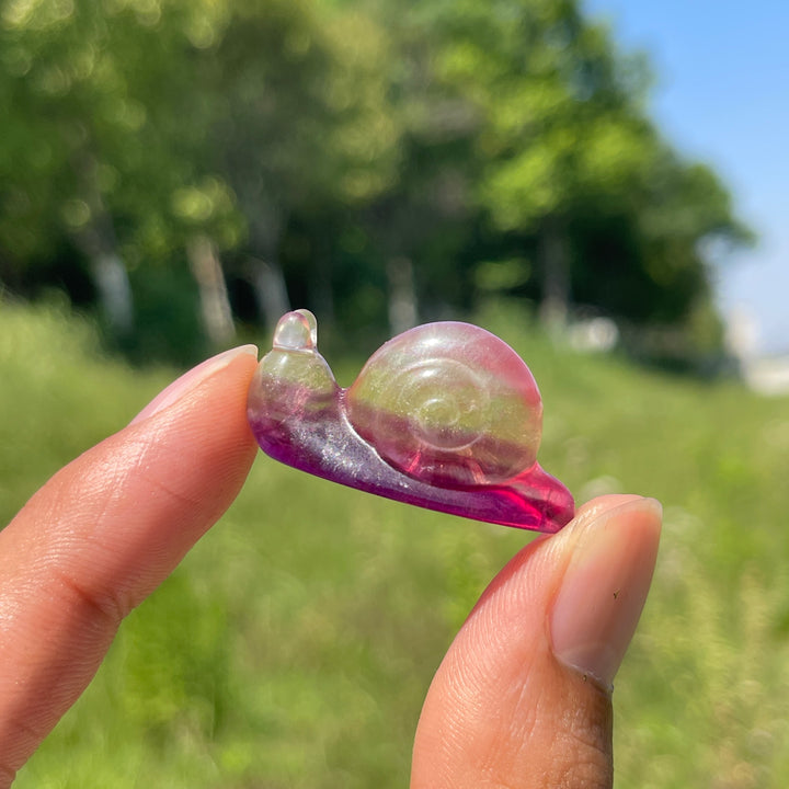 Natural Crystal Lovely Fluorite Snail Carving