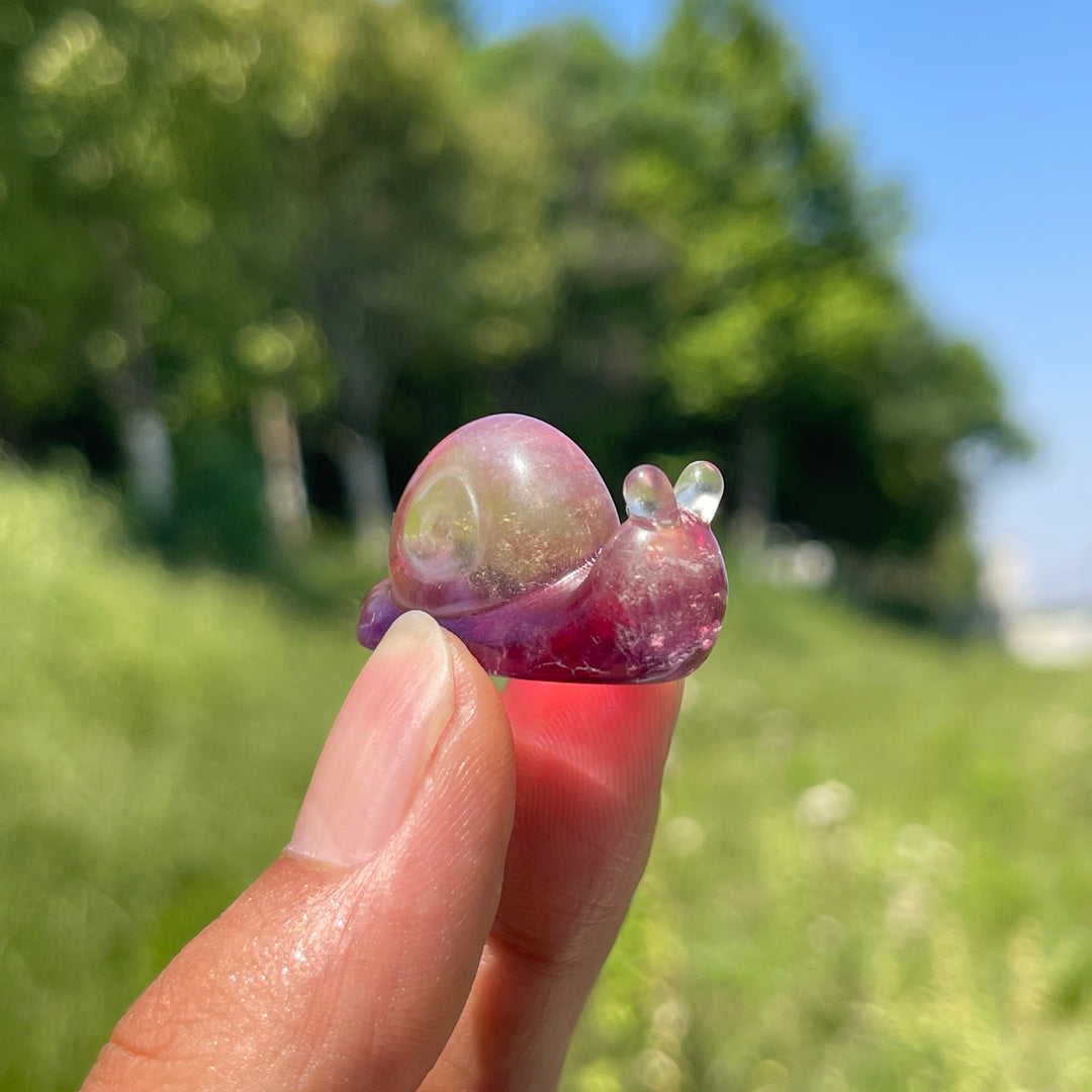 Natural Crystal Lovely Fluorite Snail Carving