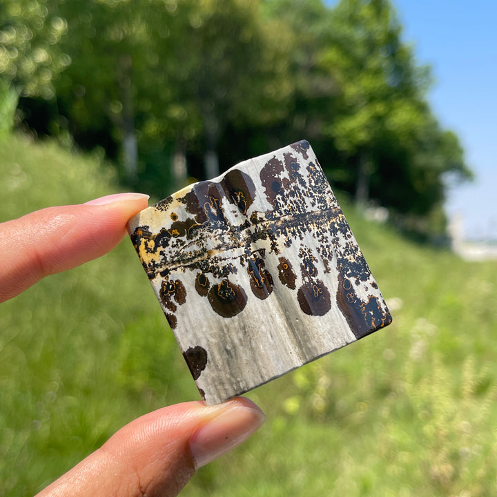 Natural Crystal Picture Jasper Mini Book Carving