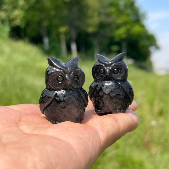 Natural Cute Silver Obsidian Owl Carving