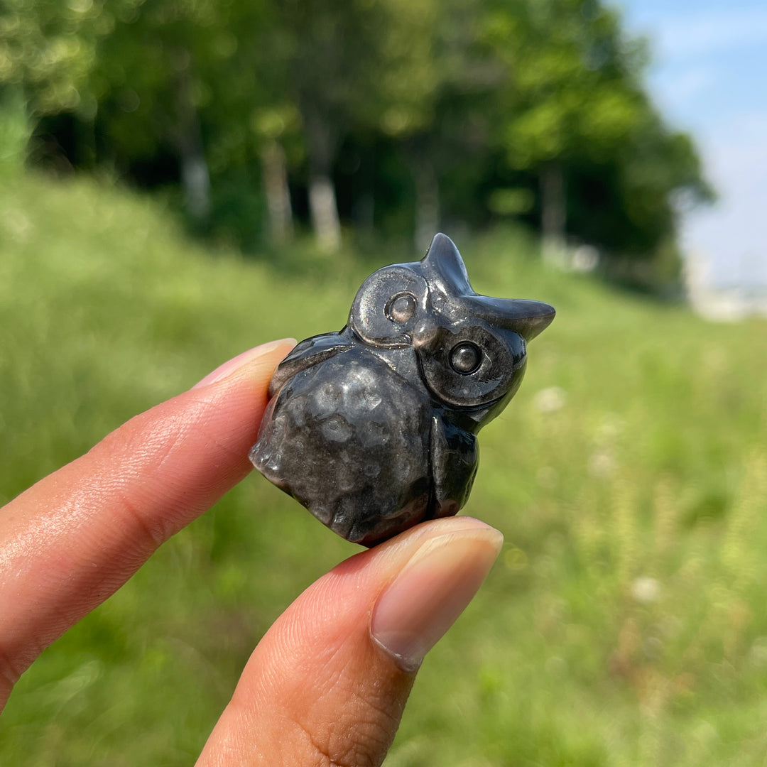 Natural Cute Silver Obsidian Owl Carving