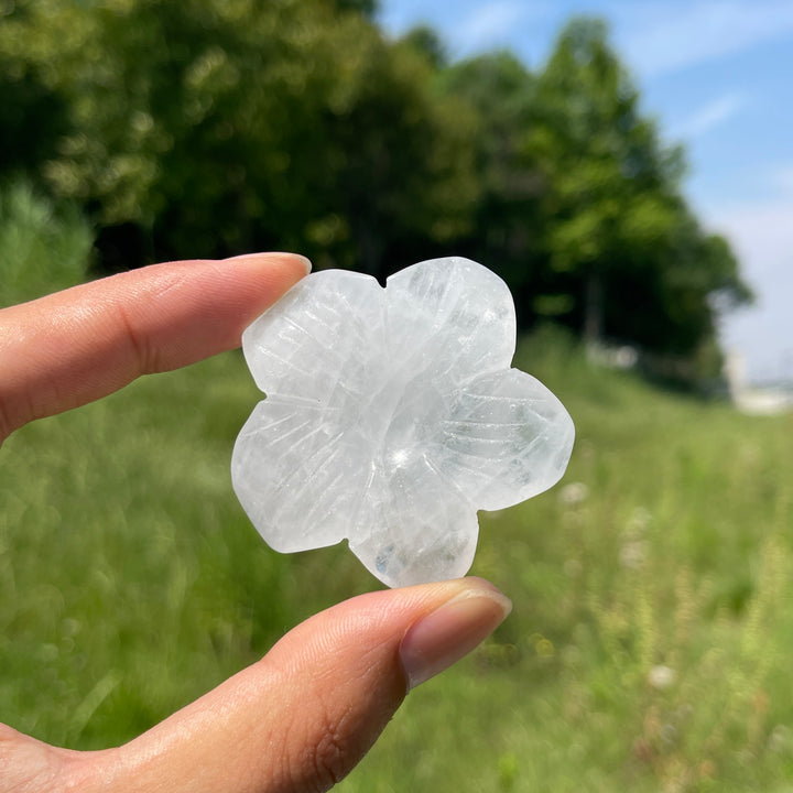 Natural Crystal Flower Sphere Holder