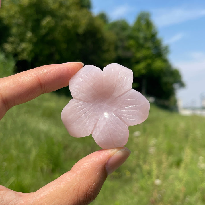 Natural Crystal Flower Sphere Holder