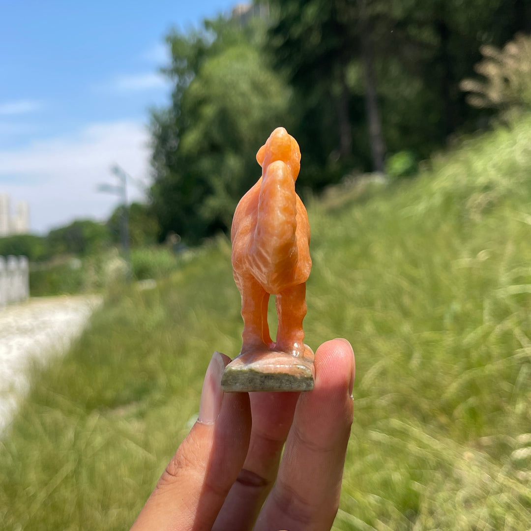 Natural Warm Orange Calcite Camel Carving
