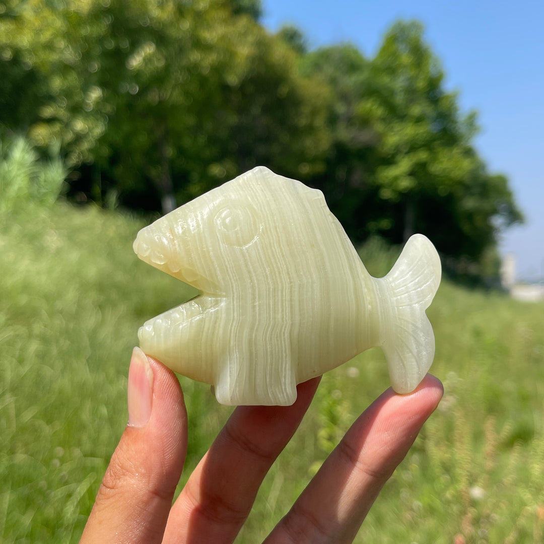 Natural Crystal Piranha Carving