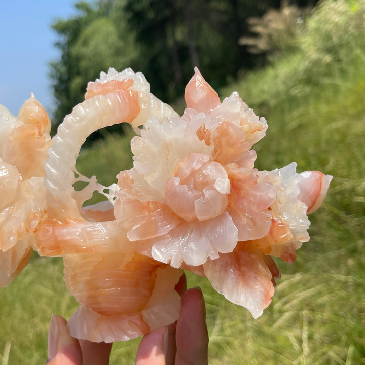 Unique,A Slightly Imperfect Natural Crystsl Afghanistan Jade Flower Basket Carving