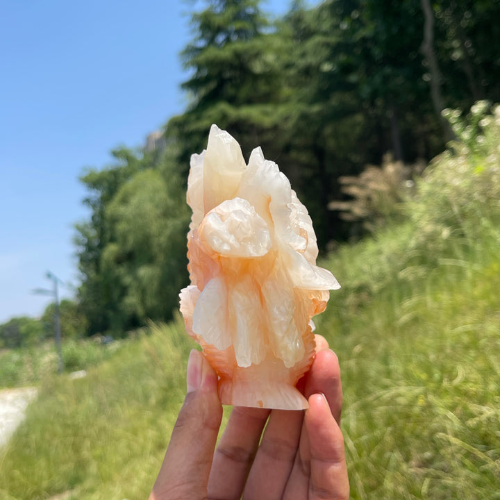Unique,A Slightly Imperfect Natural Crystsl Afghanistan Jade Flower Basket Carving