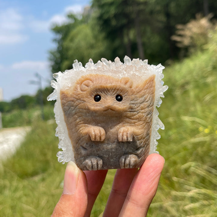 Unique,A Slightly Imperfect Natural Cluster Hedgehog Crystal Carving