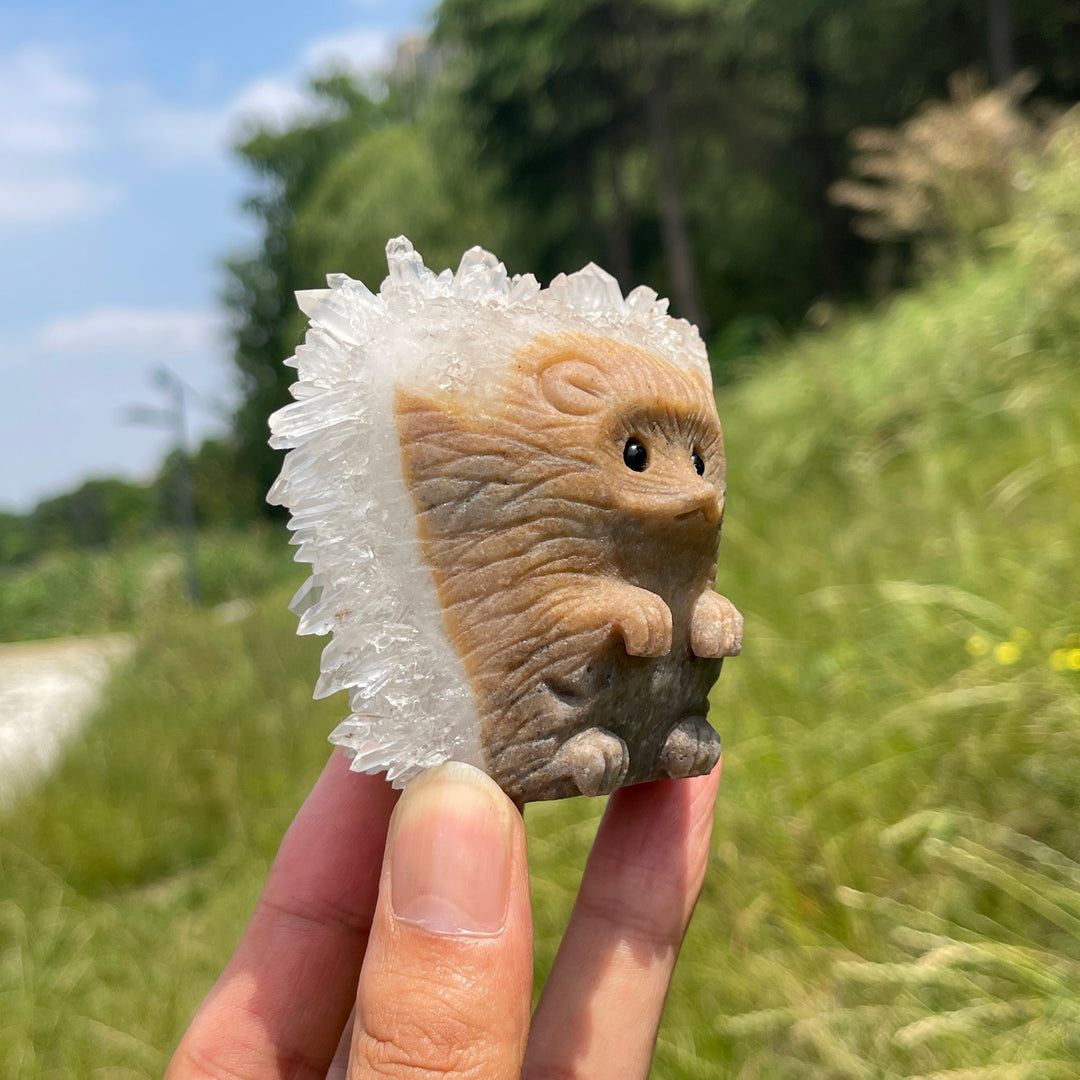 Unique,A Slightly Imperfect Natural Cluster Hedgehog Crystal Carving