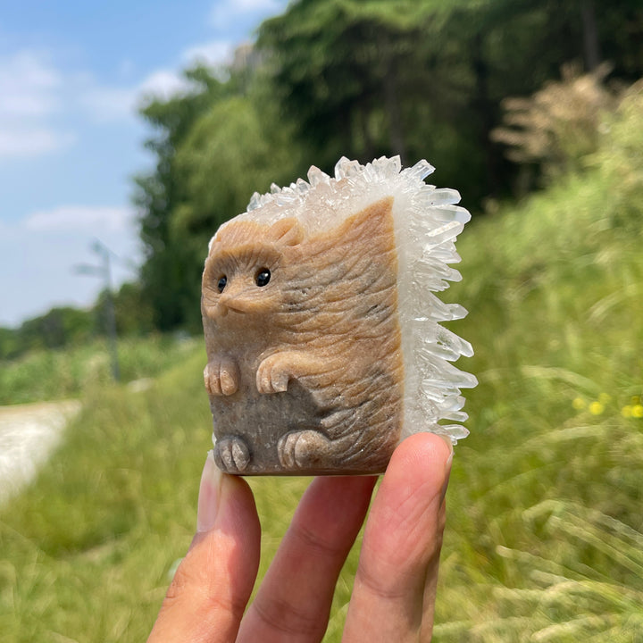 Unique,A Slightly Imperfect Natural Cluster Hedgehog Crystal Carving