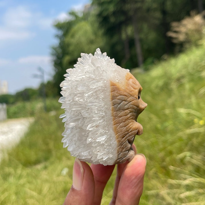 Unique,A Slightly Imperfect Natural Cluster Hedgehog Crystal Carving