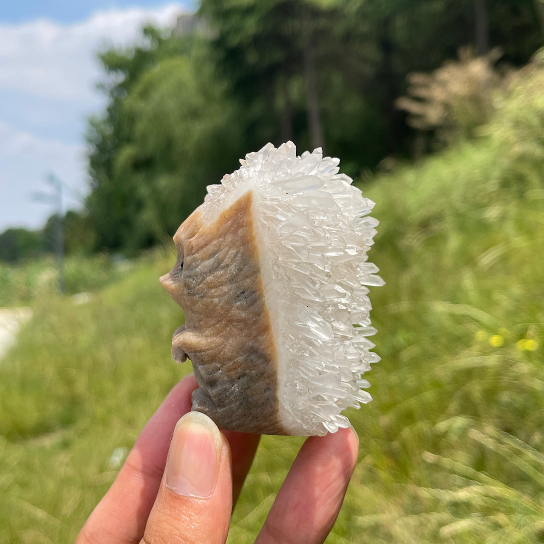 Unique,A Slightly Imperfect Natural Cluster Hedgehog Crystal Carving