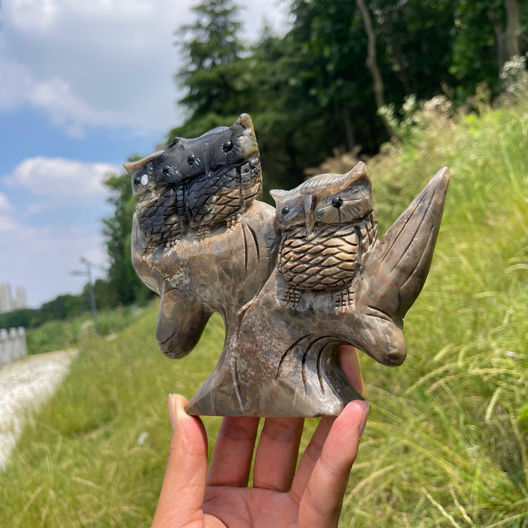 Unique,A Slightly Imperfect Natural Volcanic Agate Owl Family Carving
