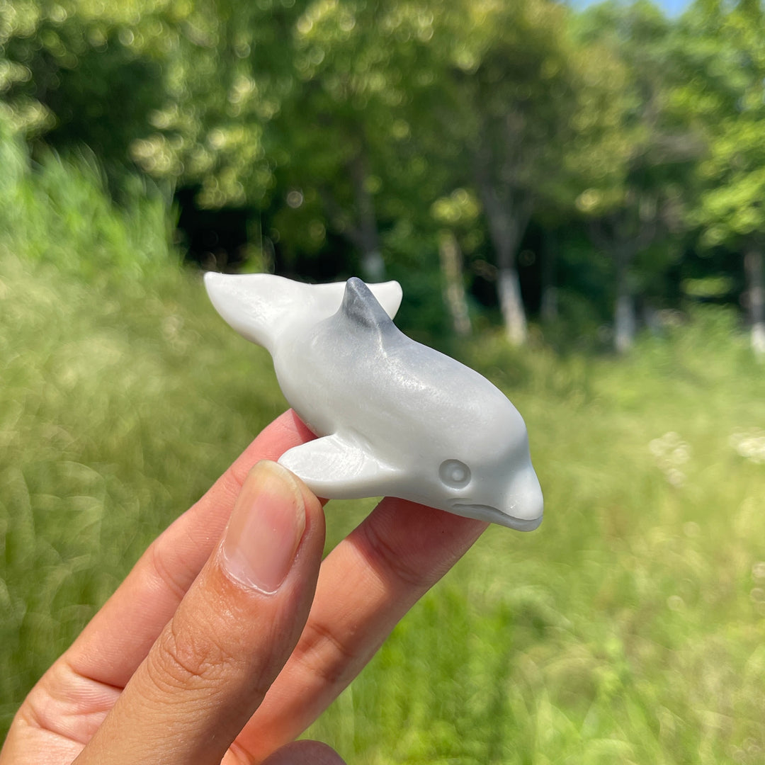 Natural TaiJi Stone Dolphin Carving