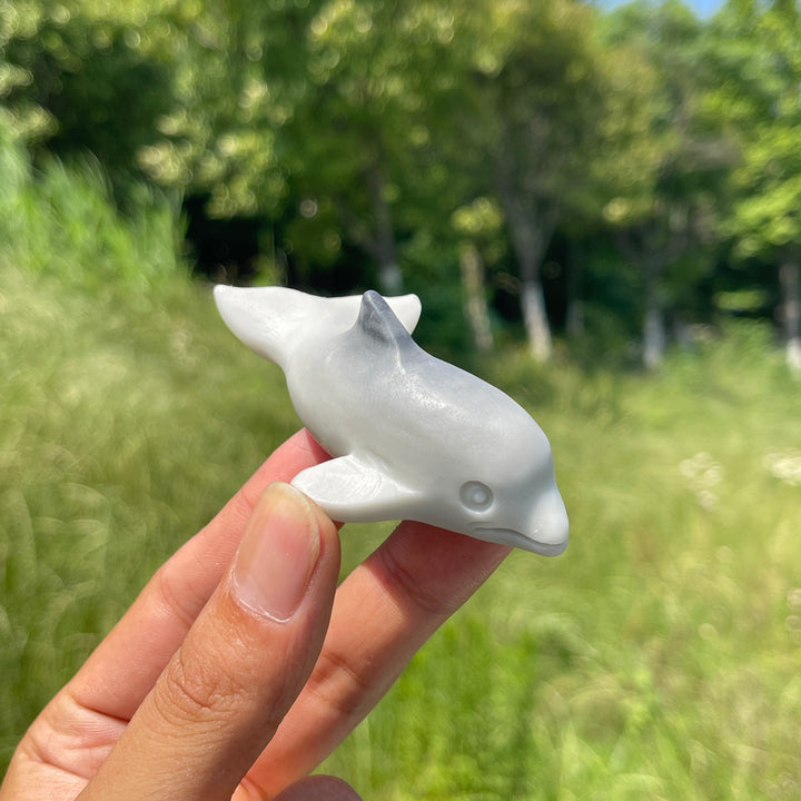 Natural TaiJi Stone Dolphin Carving