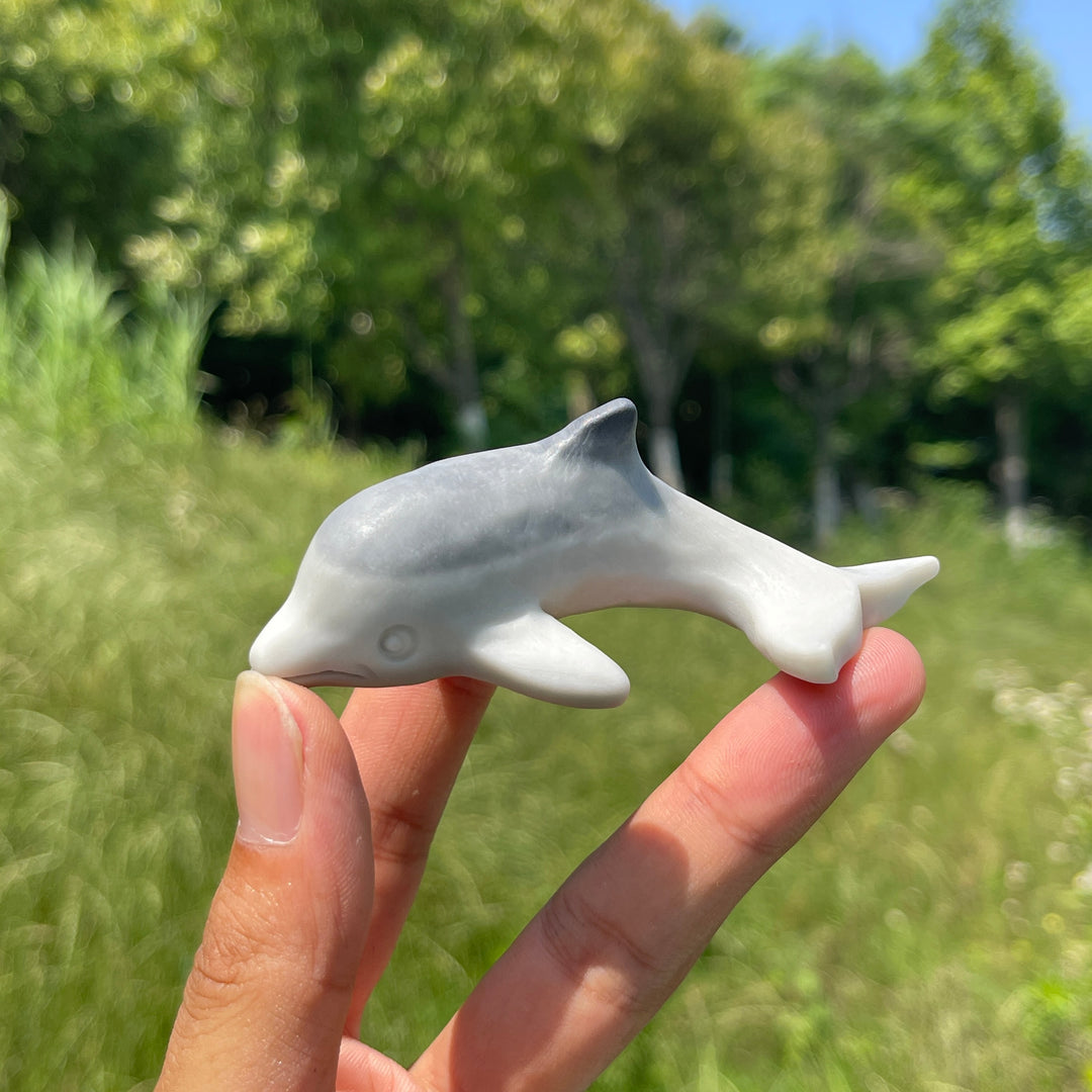 Natural TaiJi Stone Dolphin Carving