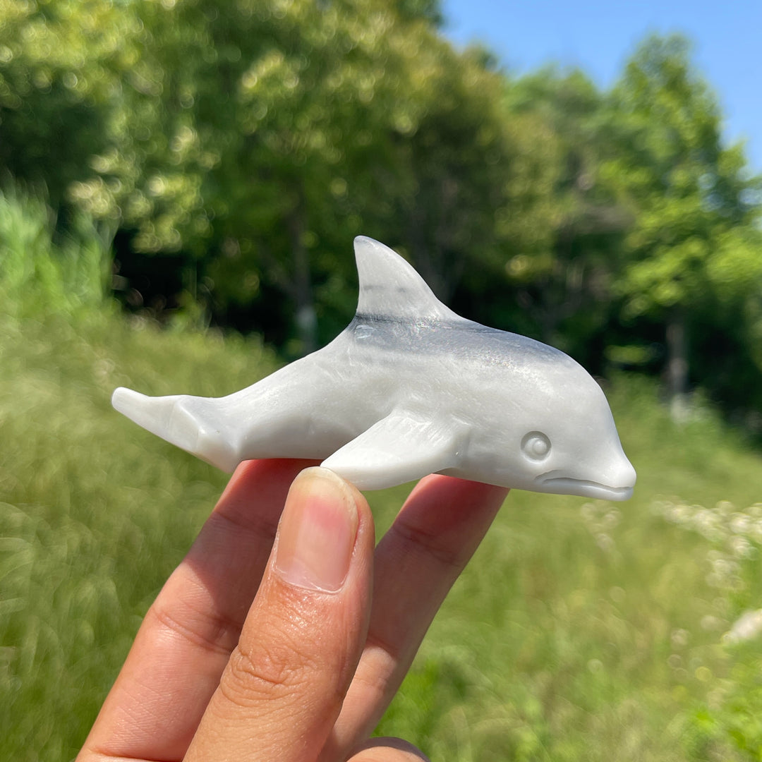 Natural TaiJi Stone Dolphin Carving