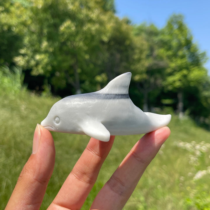 Natural TaiJi Stone Dolphin Carving