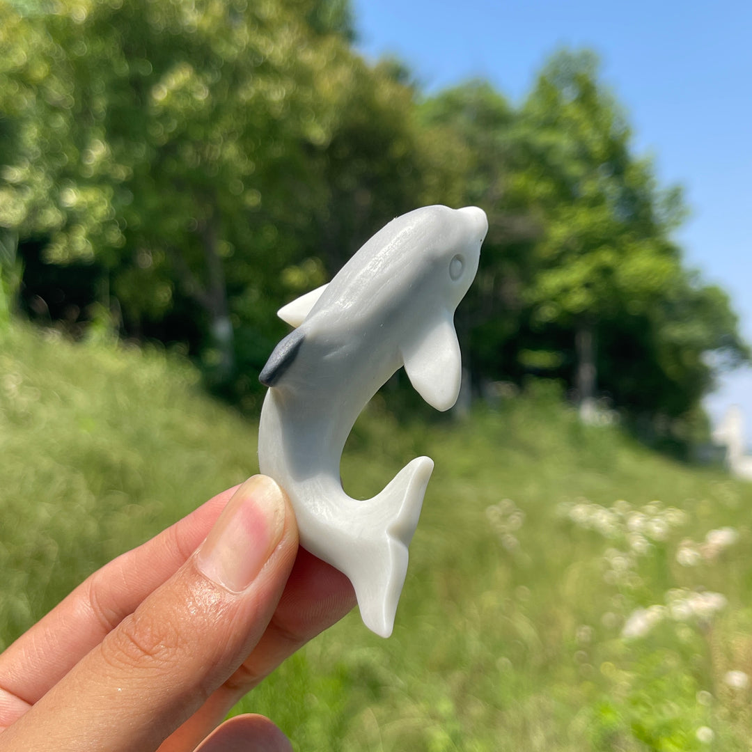 Natural TaiJi Stone Dolphin Carving