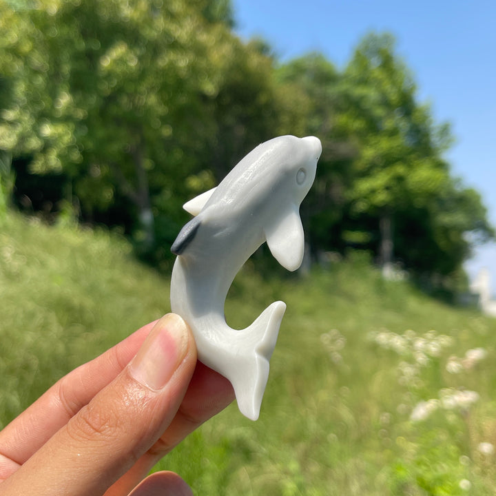Natural TaiJi Stone Dolphin Carving