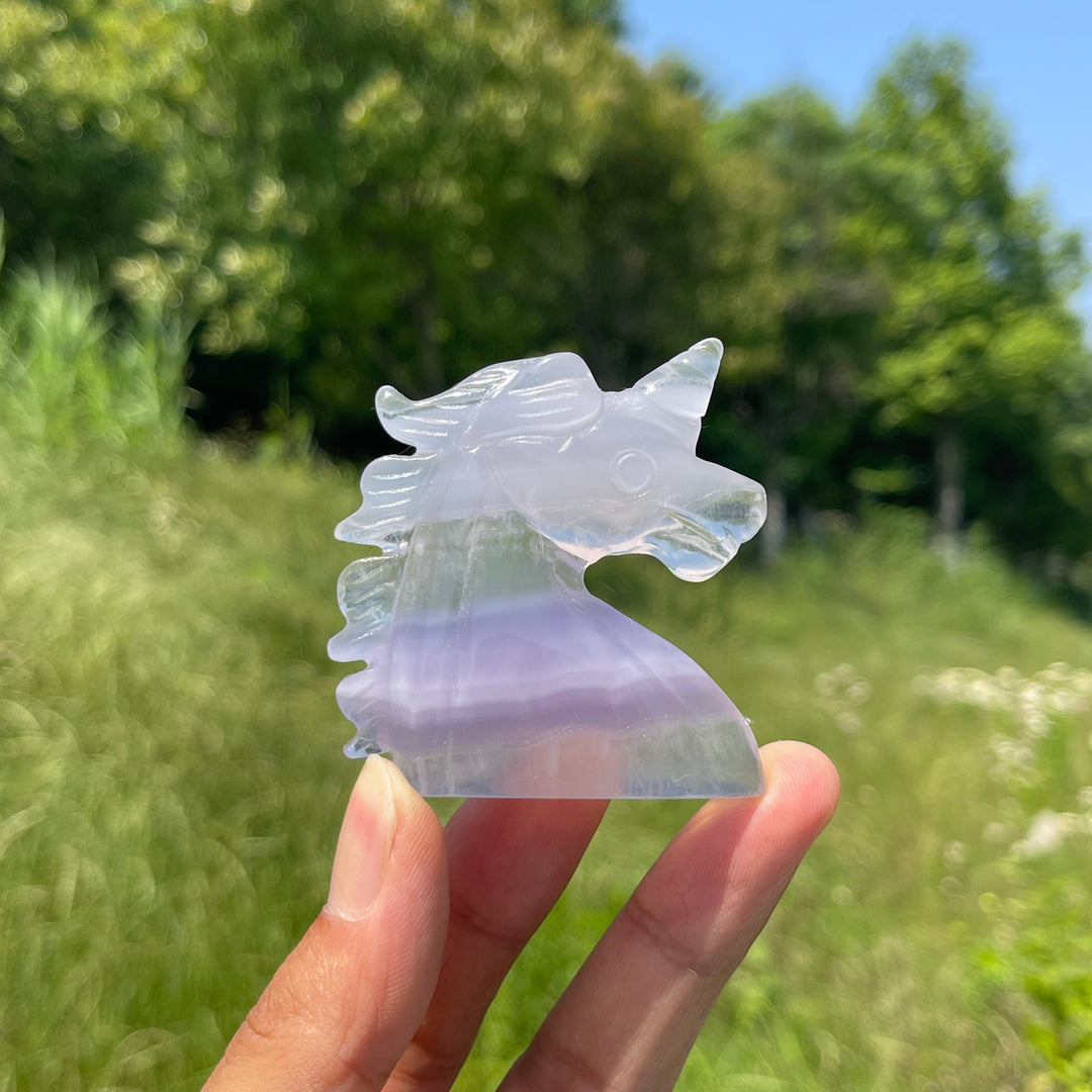 Natural Fluorite Unicorn Head Carving