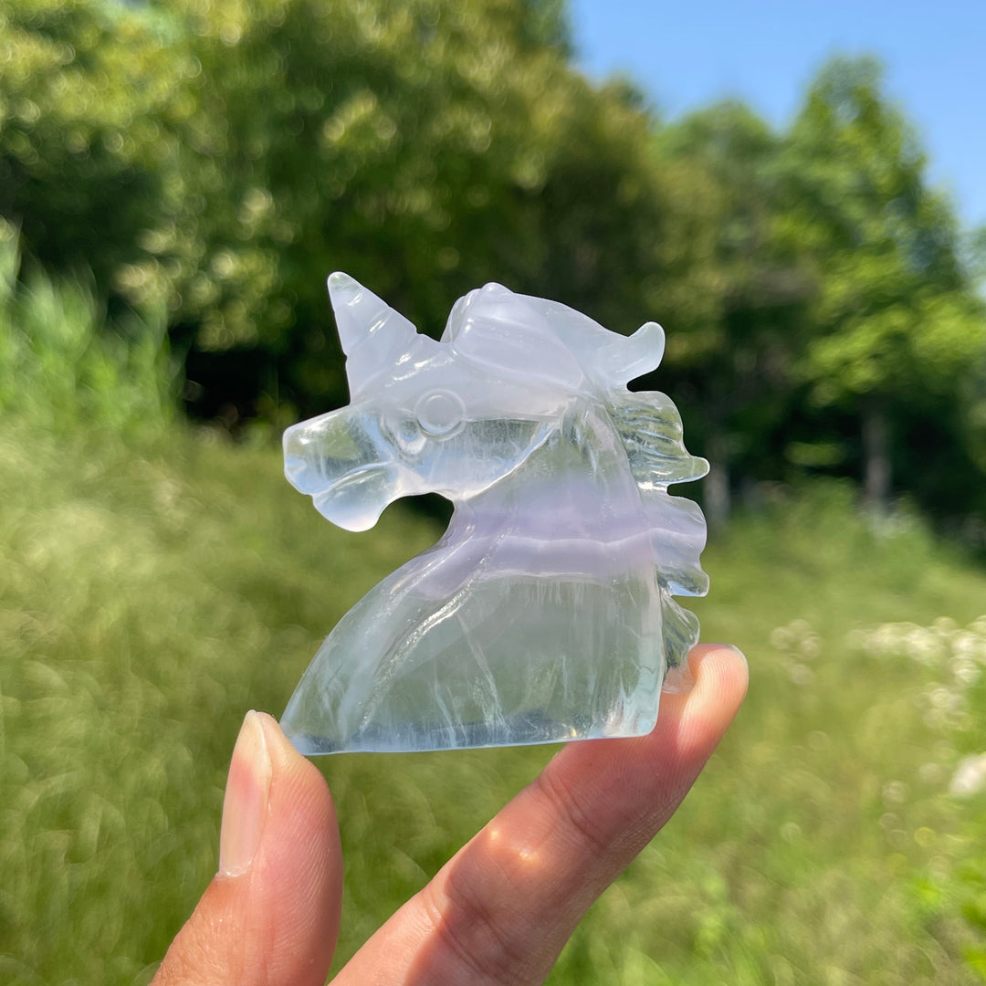 Natural Fluorite Unicorn Head Carving