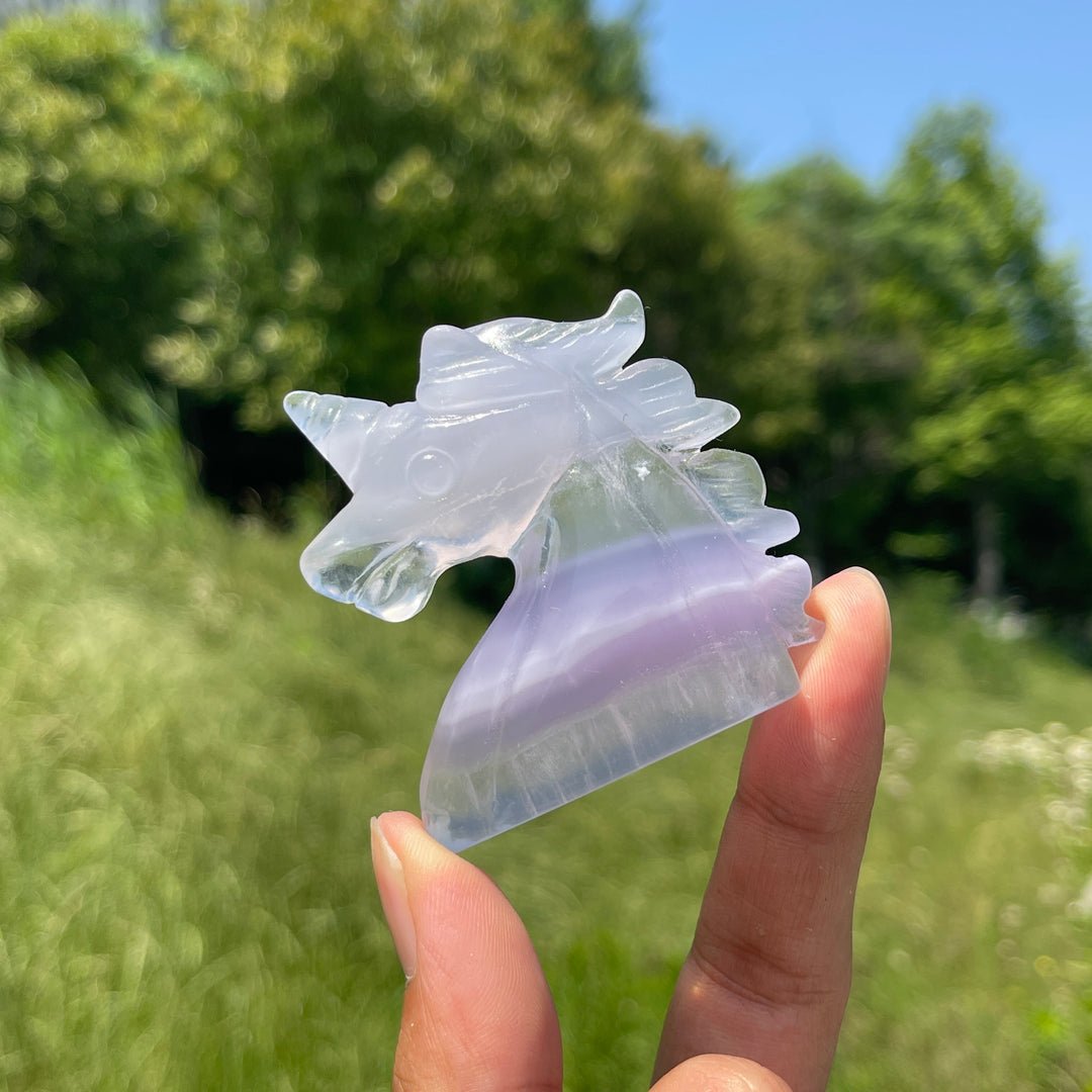 Natural Fluorite Unicorn Head Carving