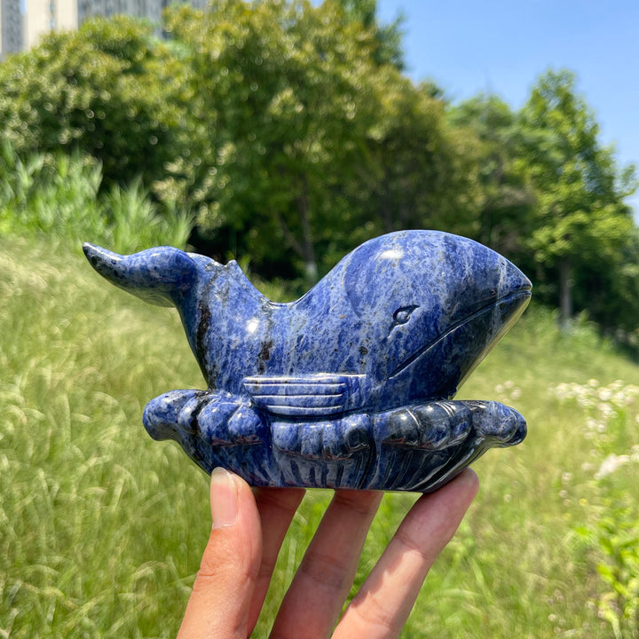 Unique,Natural Crystal Sodalite Whale Carving