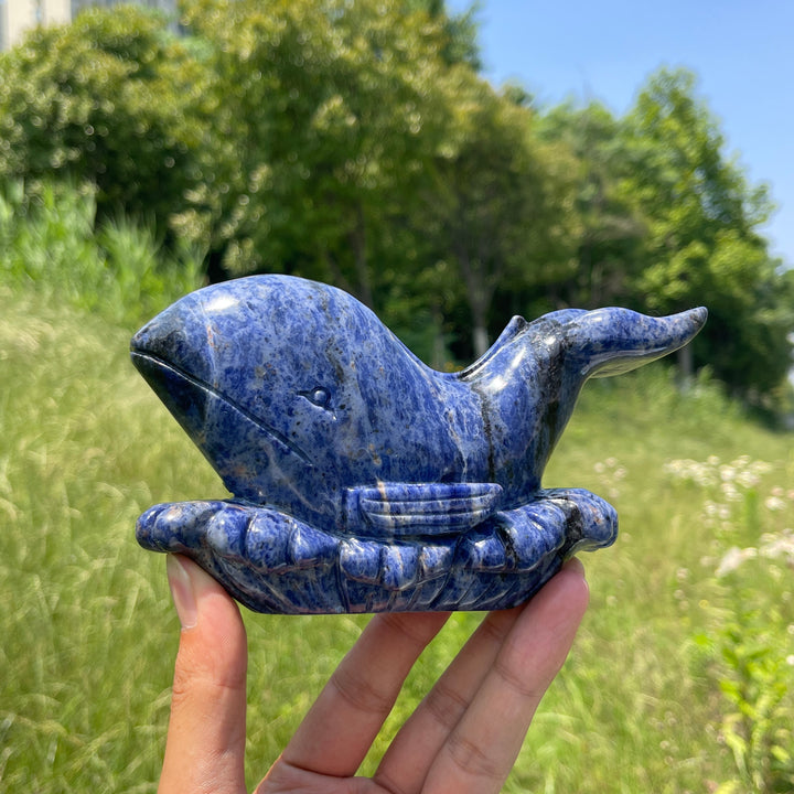 Unique,Natural Crystal Sodalite Whale Carving