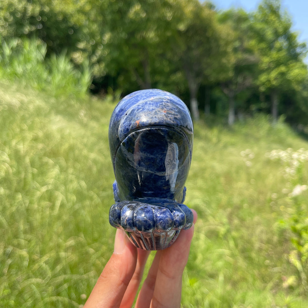 Unique,Natural Crystal Sodalite Whale Carving