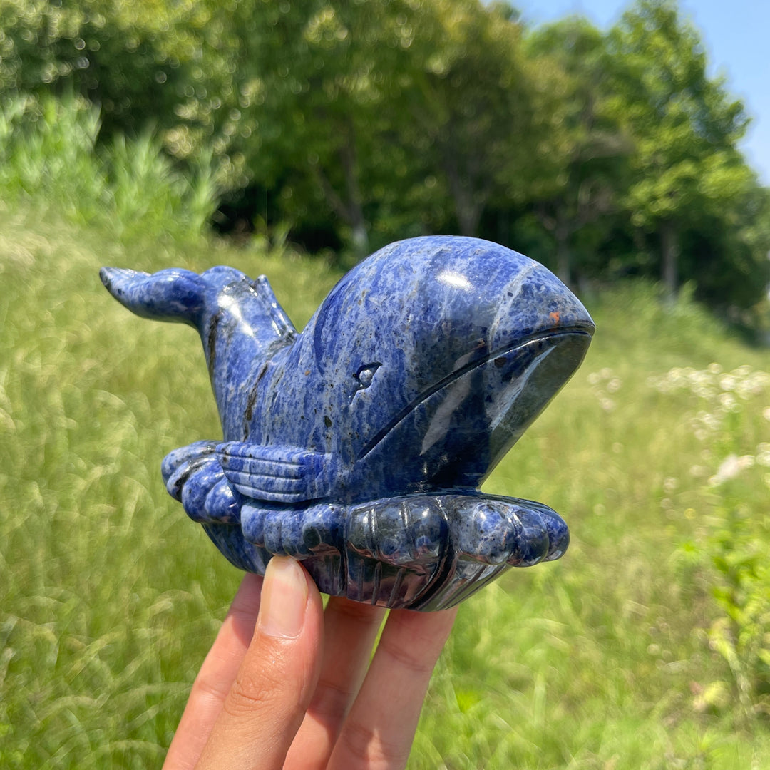 Unique,Natural Crystal Sodalite Whale Carving