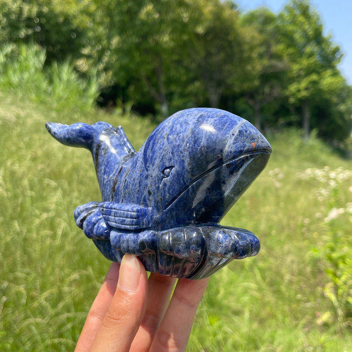 Unique,Natural Crystal Sodalite Whale Carving