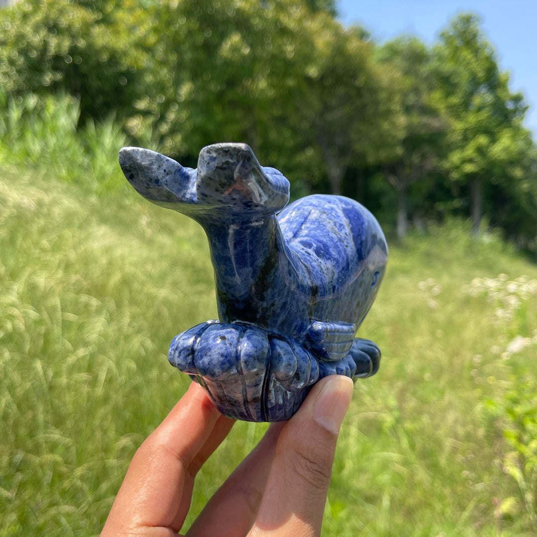 Unique,Natural Crystal Sodalite Whale Carving