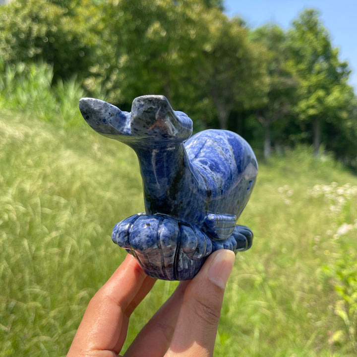 Unique,Natural Crystal Sodalite Whale Carving