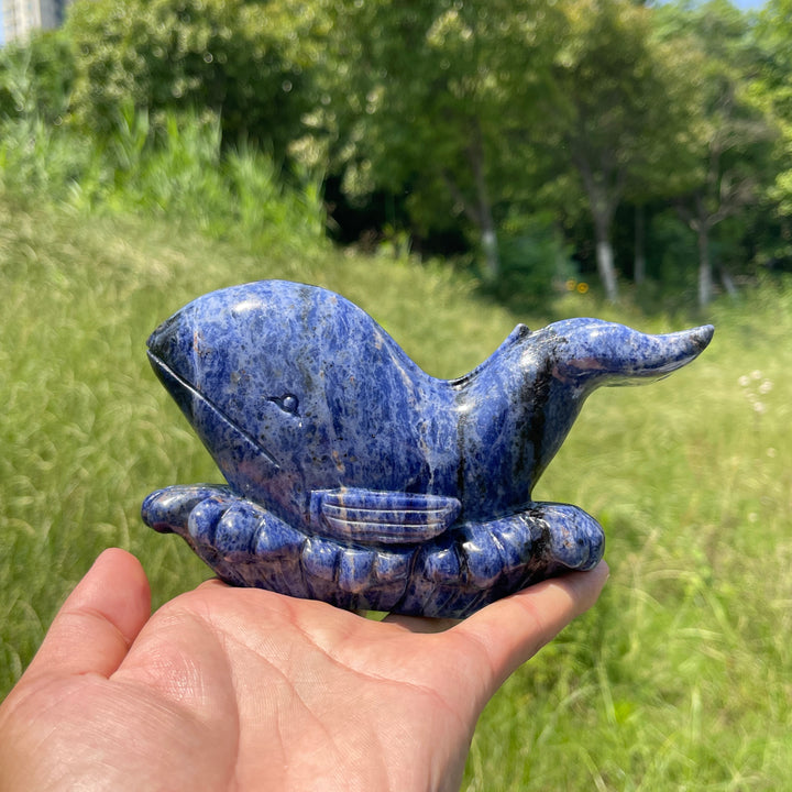 Unique,Natural Crystal Sodalite Whale Carving