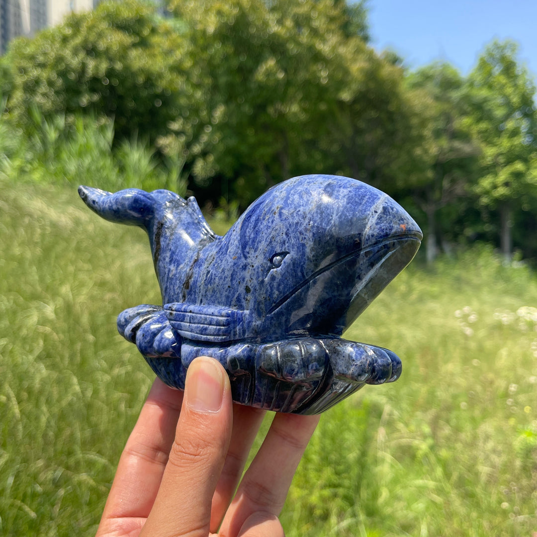 Unique,Natural Crystal Sodalite Whale Carving