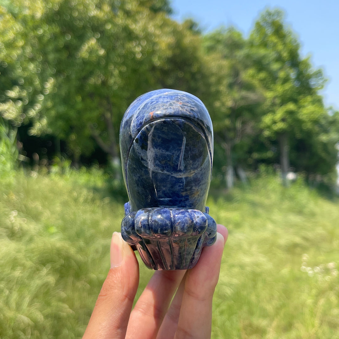 Unique,Natural Crystal Sodalite Whale Carving