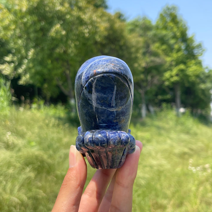 Unique,Natural Crystal Sodalite Whale Carving
