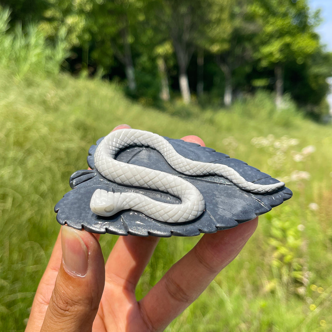 Unique, Natural TaiJi Stone Snake On Leaf Carving
