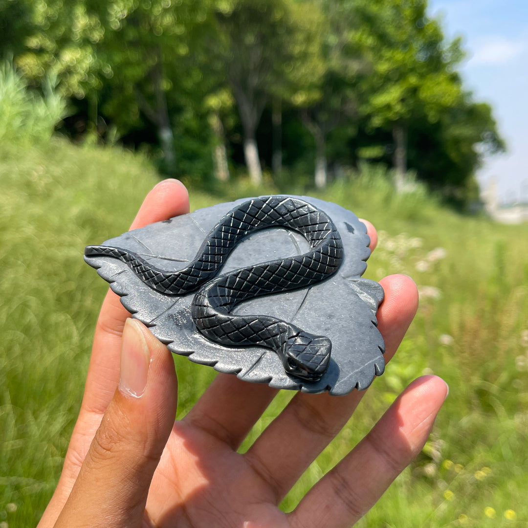 Unique, Natural TaiJi Stone Snake On Leaf Carving