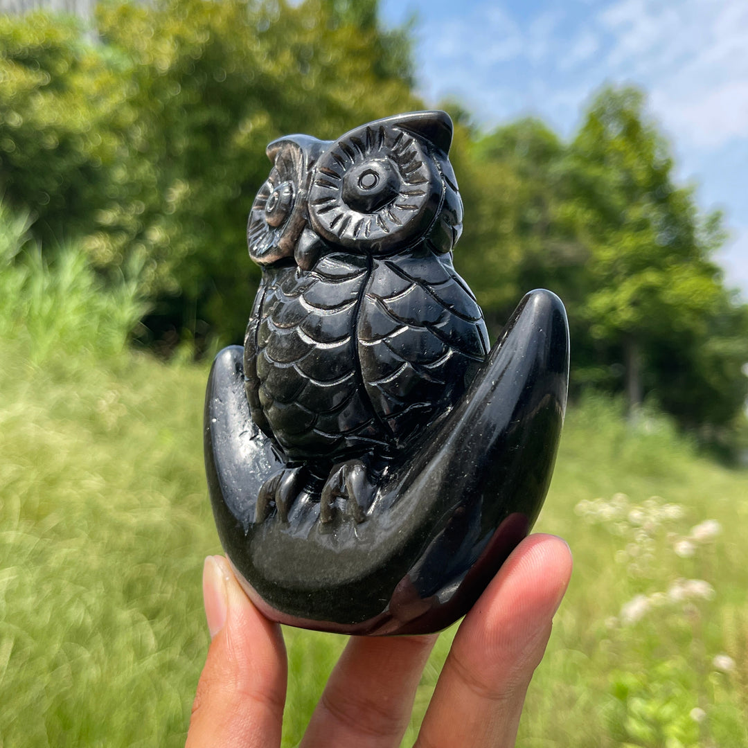 Unique,Natural Silver Obsidian Moon Owl Carving