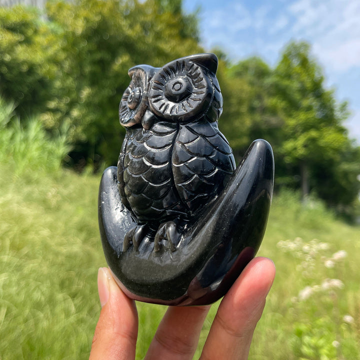 Unique,Natural Silver Obsidian Moon Owl Carving