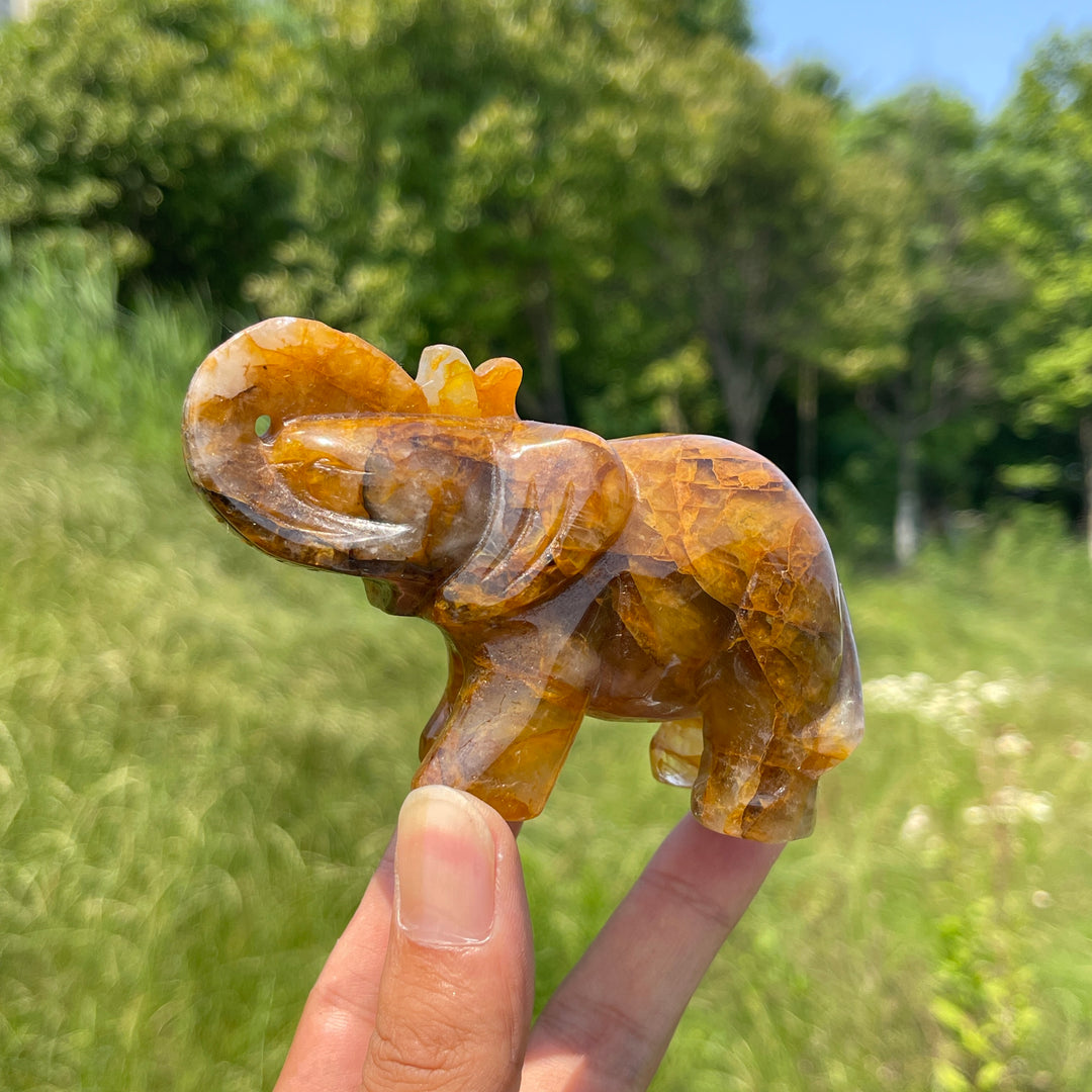 Unique,Natural Crystal Warm Golden Healer Elephant Carving