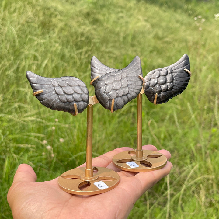 Natural Silver Obsidian Angel Wing Display